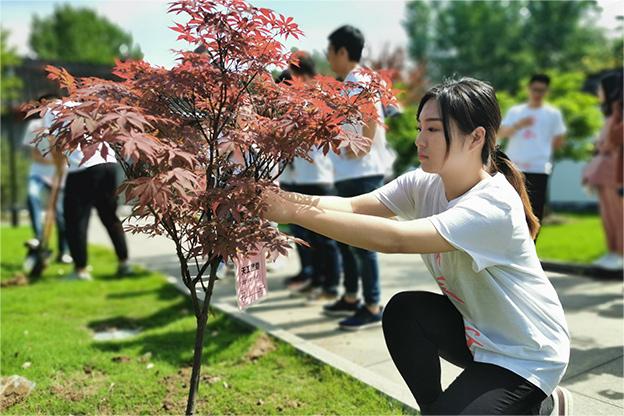 團委植樹